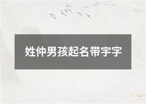 姓仲男孩起名带宇字