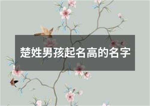 楚姓男孩起名高的名字