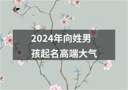 2024年向姓男孩起名高端大气