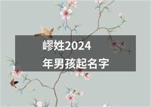 嵺姓2024年男孩起名字