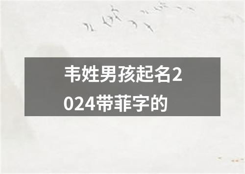 韦姓男孩起名2024带菲字的