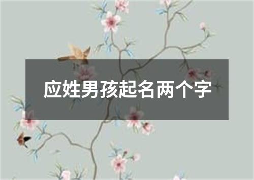 应姓男孩起名两个字