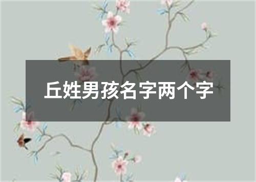 丘姓男孩名字两个字