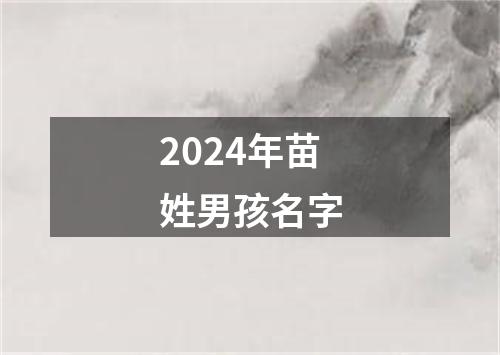 2024年苗姓男孩名字