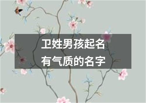 卫姓男孩起名有气质的名字