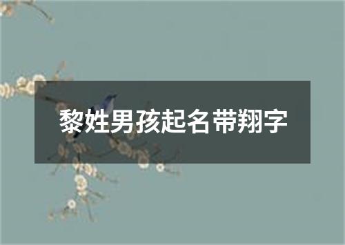 黎姓男孩起名带翔字