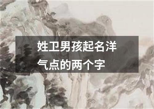 姓卫男孩起名洋气点的两个字