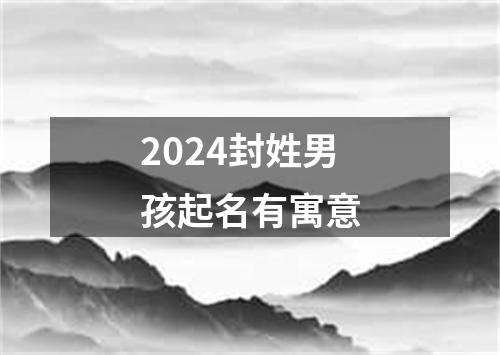 2024封姓男孩起名有寓意