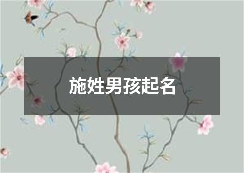 施姓男孩起名