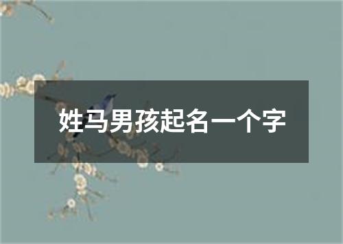 姓马男孩起名一个字