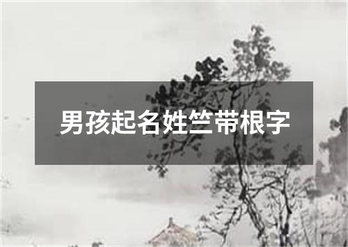 男孩起名姓竺带根字