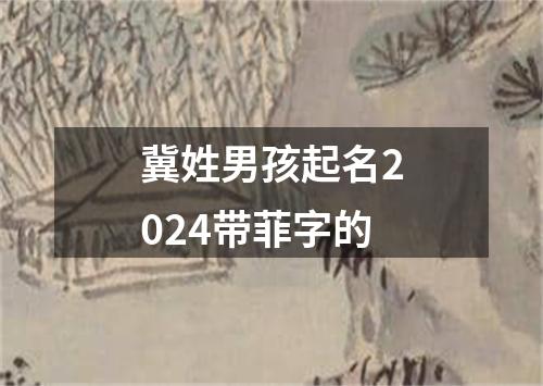 冀姓男孩起名2024带菲字的