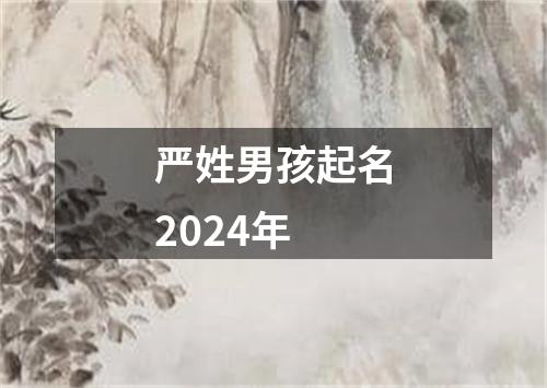 严姓男孩起名2024年