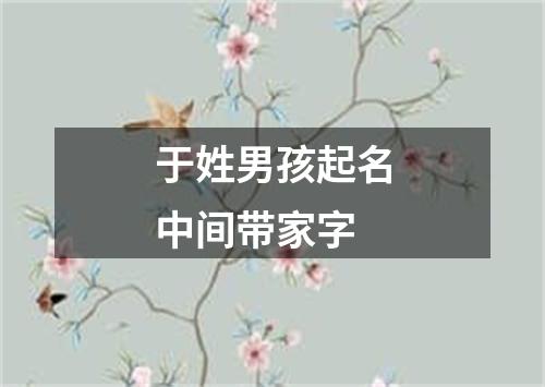 于姓男孩起名中间带家字