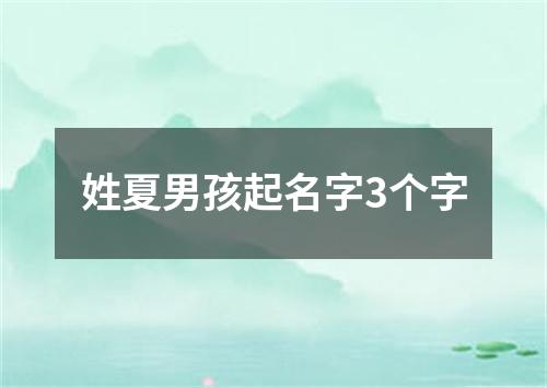 姓夏男孩起名字3个字