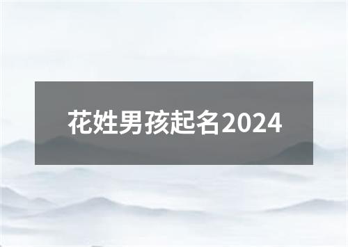 花姓男孩起名2024