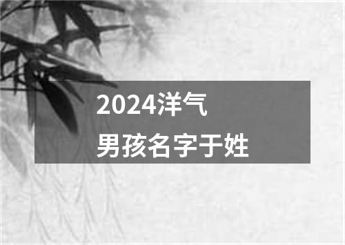 2024洋气男孩名字于姓