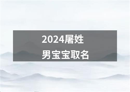 2024屠姓男宝宝取名