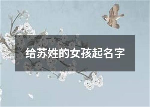 给苏姓的女孩起名字