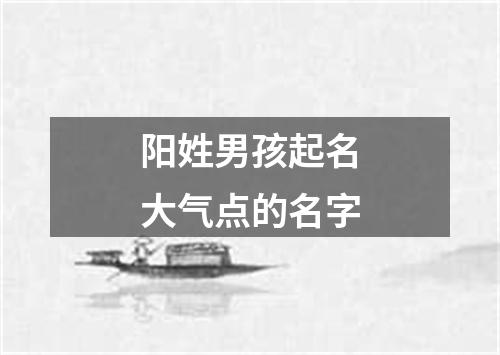 阳姓男孩起名大气点的名字