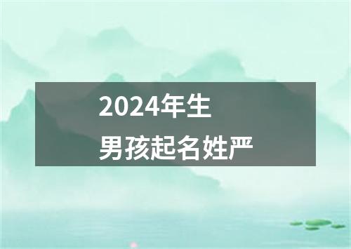 2024年生男孩起名姓严