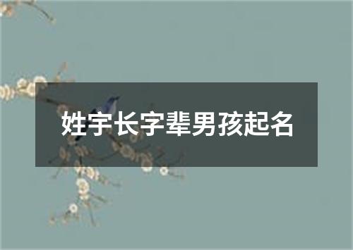 姓宇长字辈男孩起名