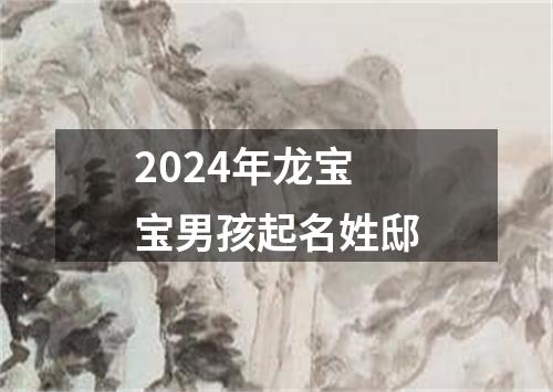 2024年龙宝宝男孩起名姓邸