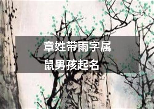 章姓带雨字属鼠男孩起名