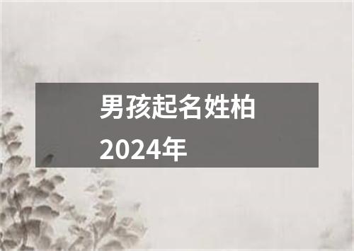 男孩起名姓柏2024年