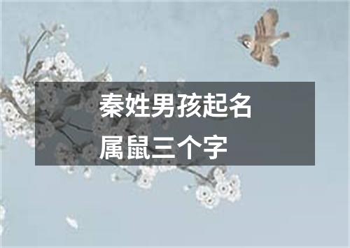 秦姓男孩起名属鼠三个字