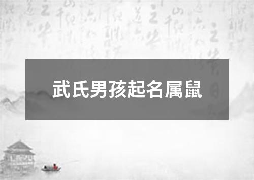 武氏男孩起名属鼠