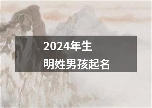 2024年生明姓男孩起名