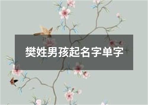 樊姓男孩起名字单字