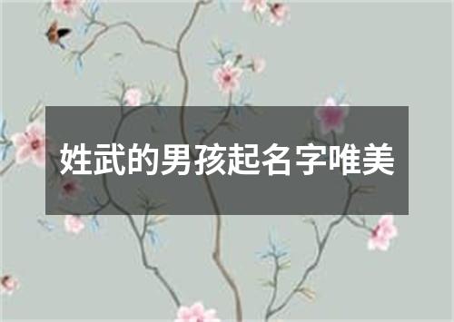 姓武的男孩起名字唯美