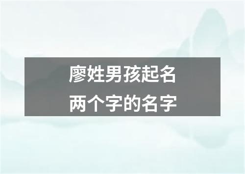 廖姓男孩起名两个字的名字