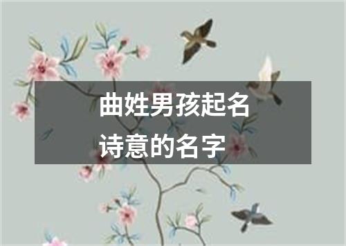 曲姓男孩起名诗意的名字