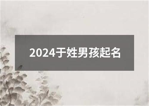 2024于姓男孩起名