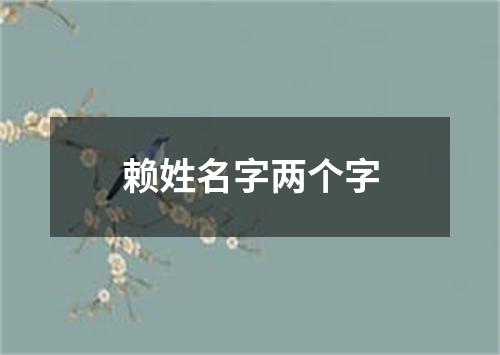 赖姓名字两个字