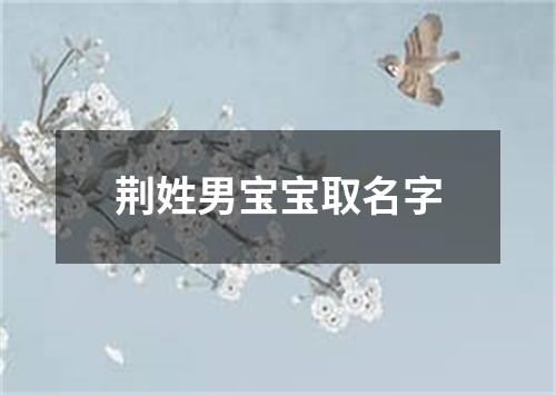 荆姓男宝宝取名字