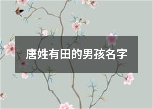 唐姓有田的男孩名字