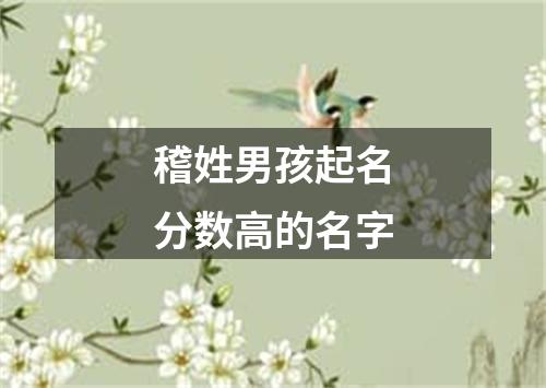 稽姓男孩起名分数高的名字