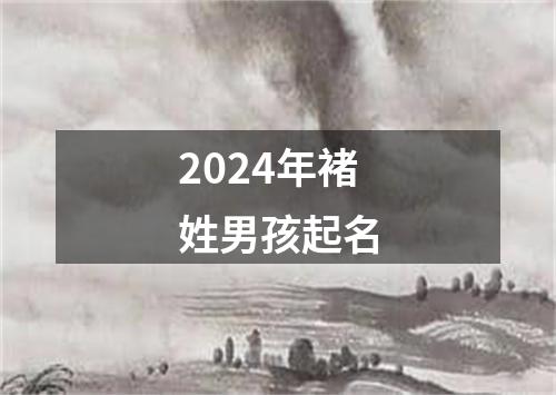 2024年褚姓男孩起名