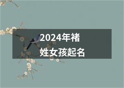 2024年褚姓女孩起名