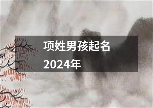 项姓男孩起名2024年