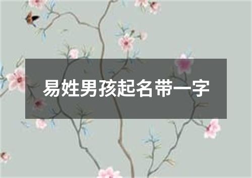 易姓男孩起名带一字