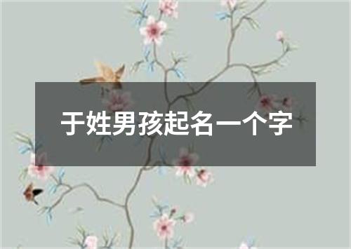 于姓男孩起名一个字