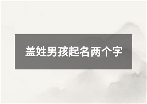 盖姓男孩起名两个字