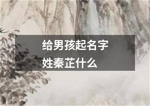 给男孩起名字姓秦芷什么