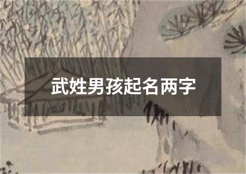 武姓男孩起名两字