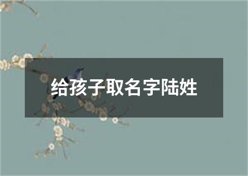 给孩子取名字陆姓